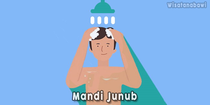 Mandi-Junub